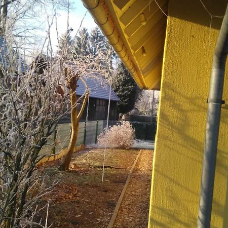 Hotel Gästehaus Allergrund Wienhausen Exterior foto